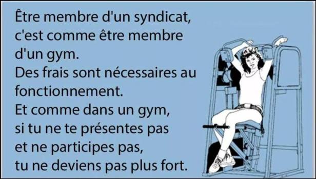 SyndicatGym
