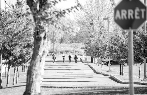 D700_YB_adobeRVB_NEF_2015 10 26_3081