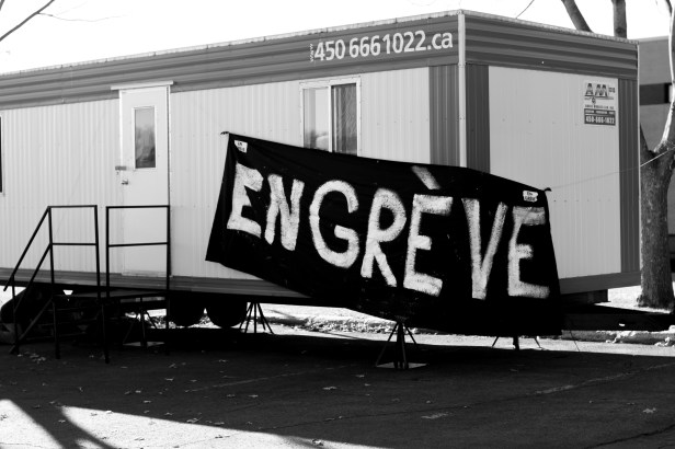 D700_YB_adobeRVB_NEF_2015 11 09_4144