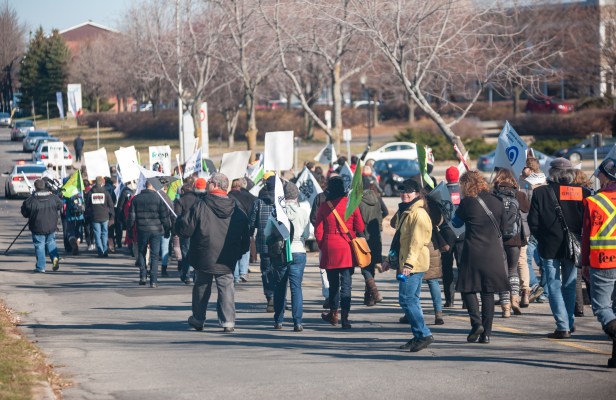 D700_YB_adobeRVB_NEF_2015 11 09_4348