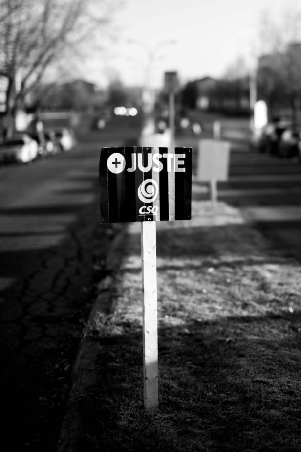 D700_YB_adobeRVB_NEF_2015 11 10_4625