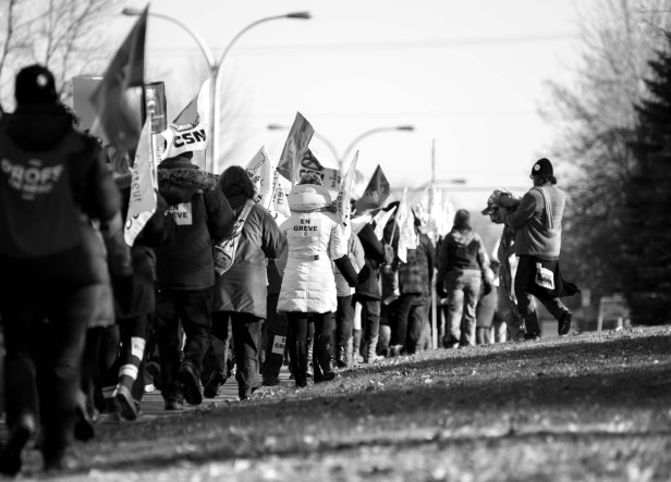 D700_YB_adobeRVB_NEF_2015 11 10_4969