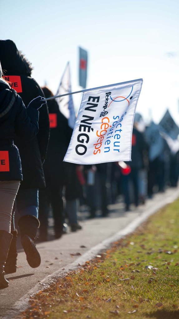 D700_YB_adobeRVB_NEF_2015 11 10_5004