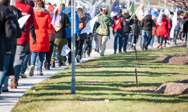 D700_YB_adobeRVB_NEF_2015 11 10_5024