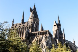 shutterstock_173129408