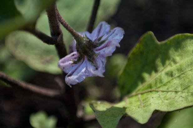 19983928_1504422319624522_2119545639075927285_o