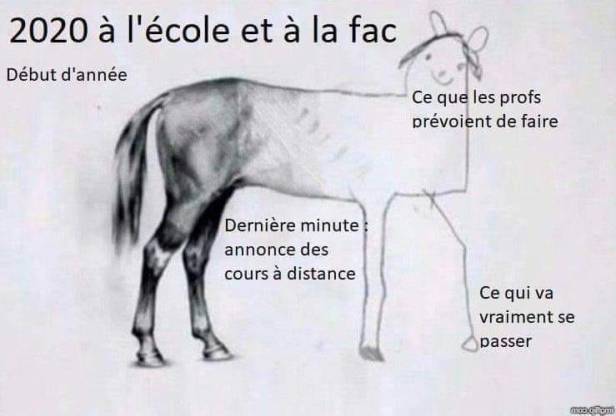 90382065_10157328460759217_9032925438829133824_n