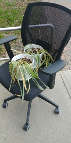 97173876_233930821272711_185279640699404288_n